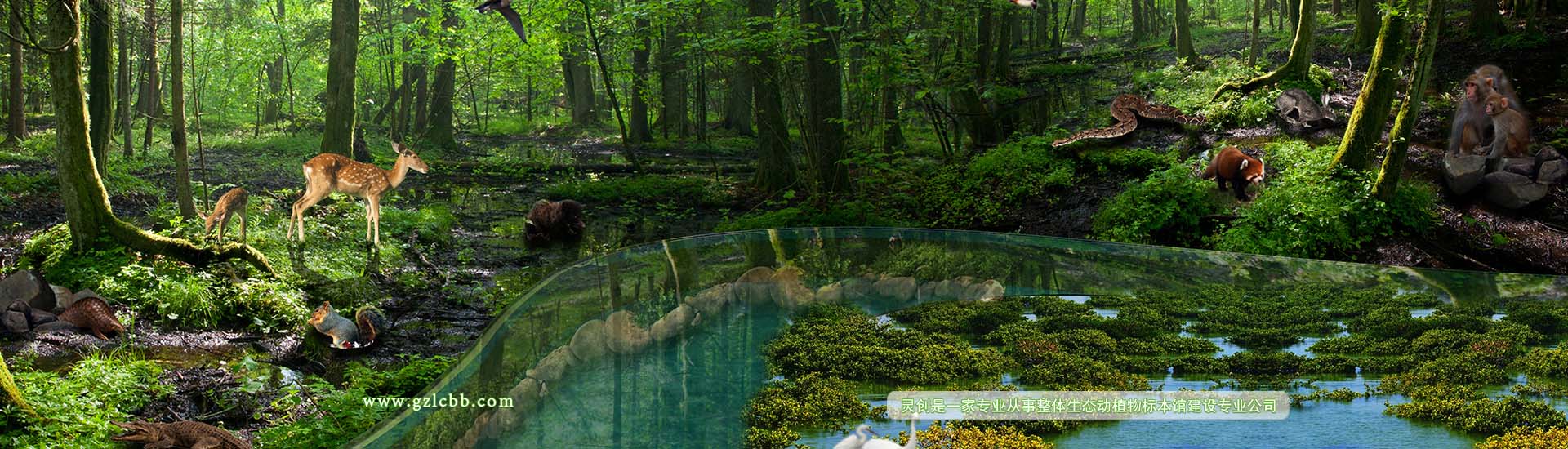 靈創(chuàng)標本